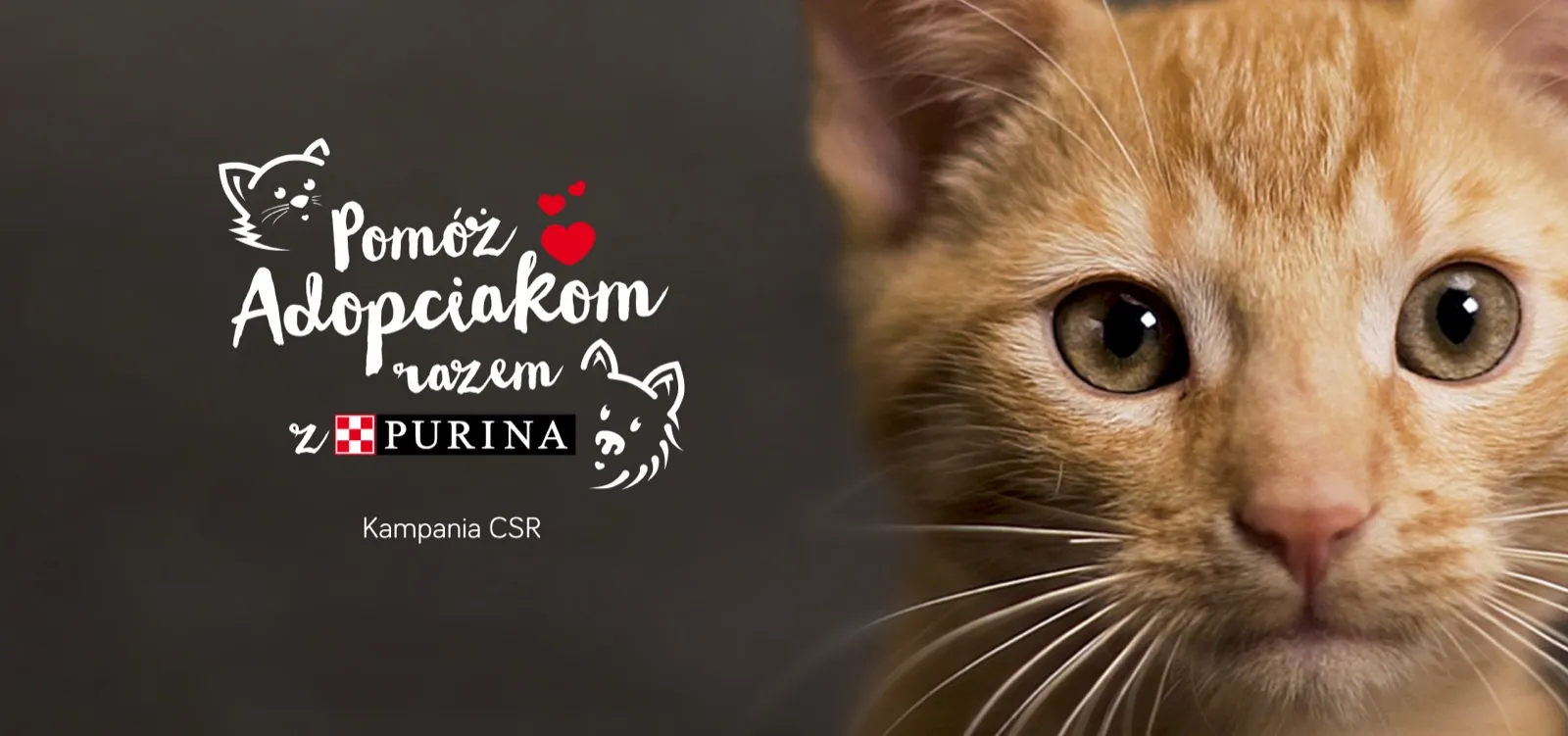 Kampania „Pomóż adopciakom razem z PURINA”